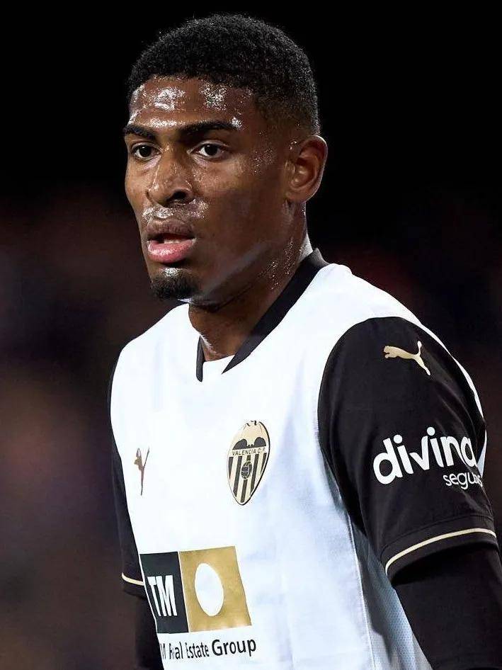 的新援能否 的新援能否