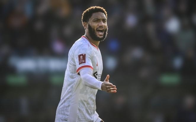 旅瑞士队的 旅瑞士队的